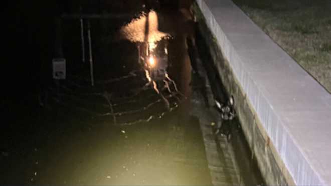 Lost dog rescued from canal by FHP trooper