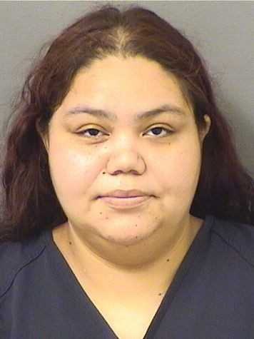 PBSO’s arrest warrant for minor leads to discovery of horrid living conditions of 11 dogs