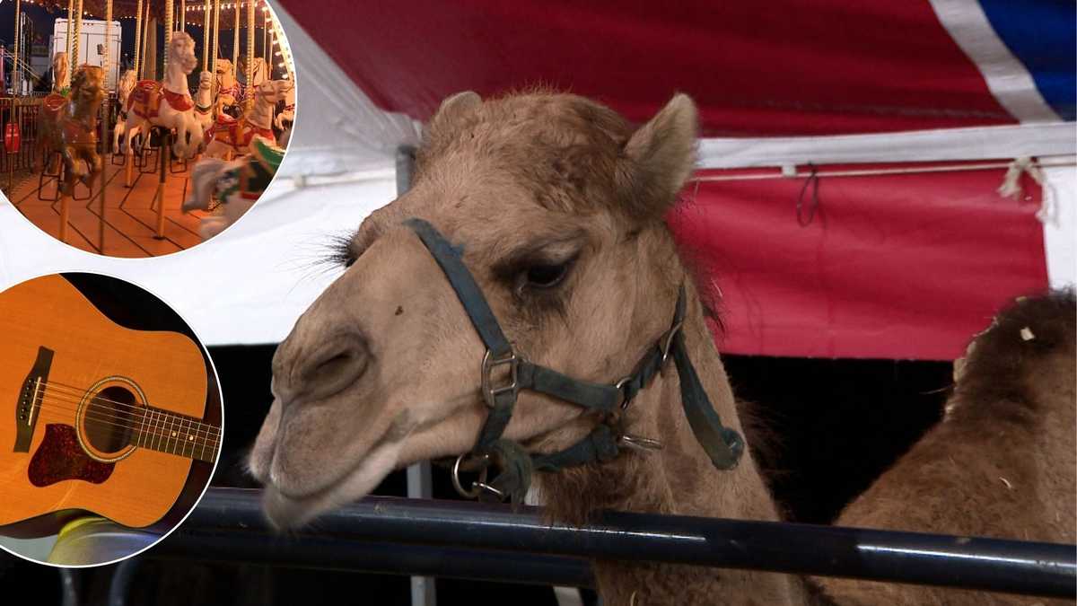Oldham County Fair returns with fan-favorites demolition derby, wild petting zoo
