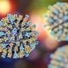 Jefferson County coroner confirms another measles-associated death