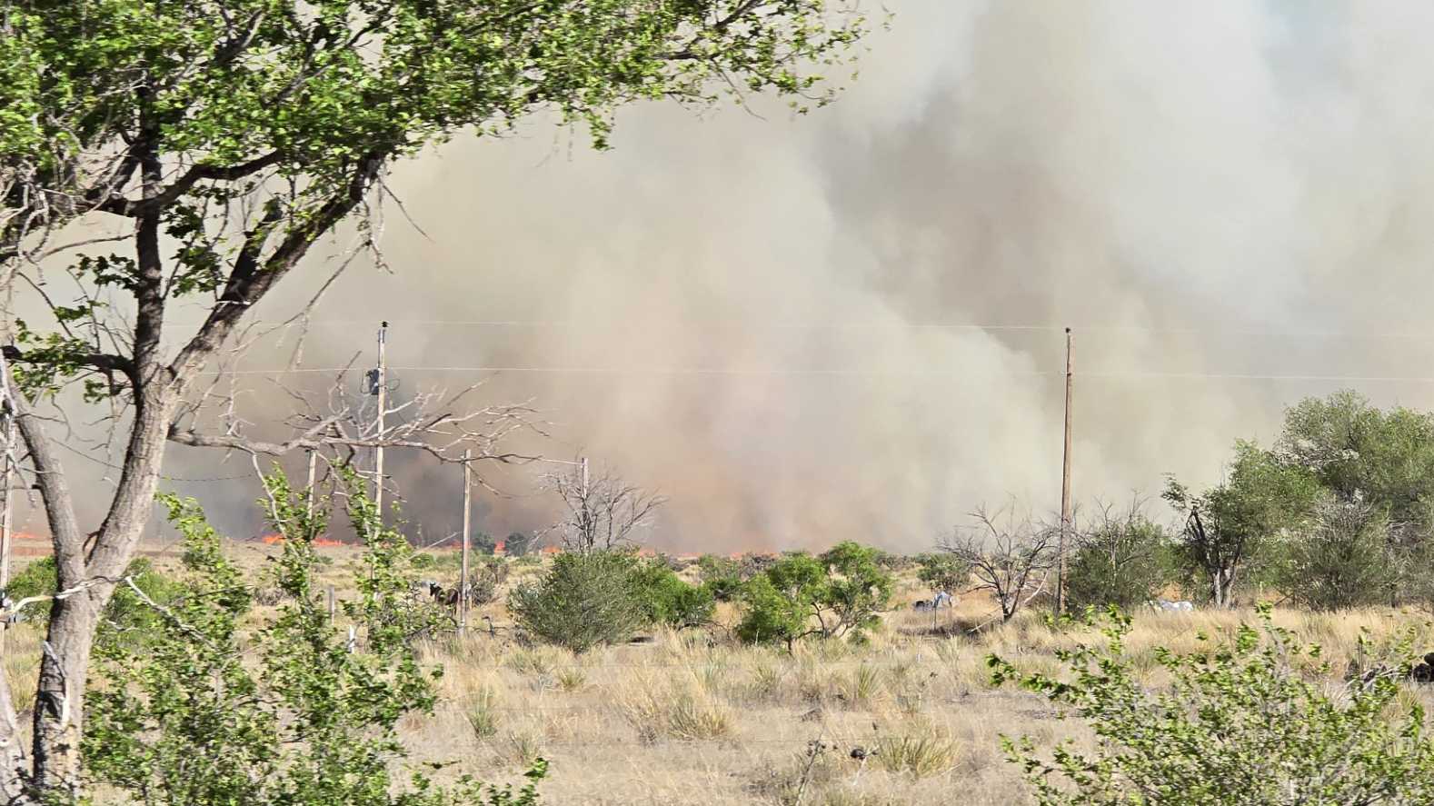 Evacuations lifted for 20,000 acre Line Fire in Quay County