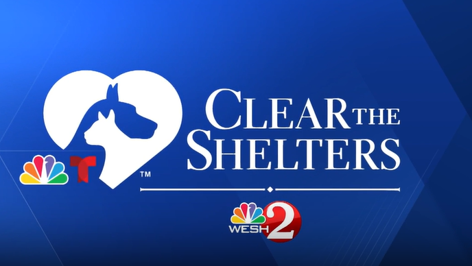 Clear the Shelters | Meet adoptable pets at the SPCA of Brevard