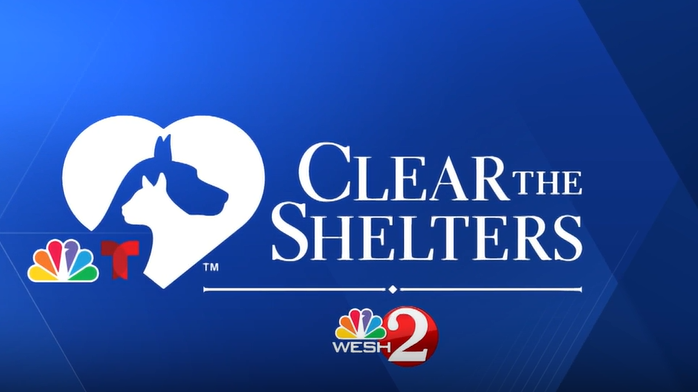 Clear the Shelters | Meet adoptable pets at Southeast Volusia Humane Society