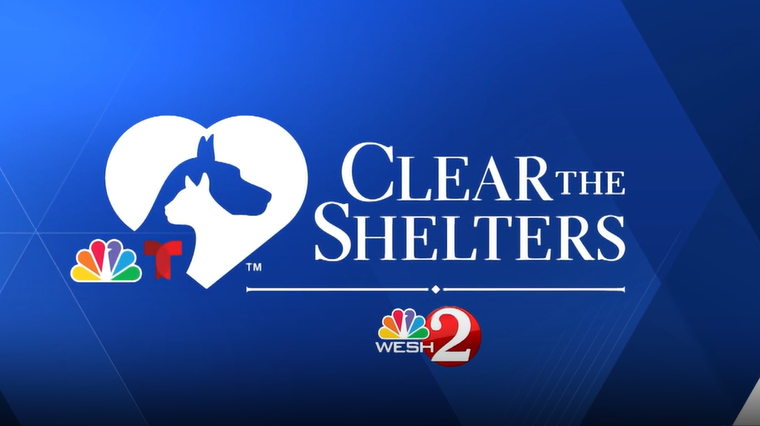 Clear the Shelters | Meet adoptable pets at Halifax Humane Society in Daytona Beach