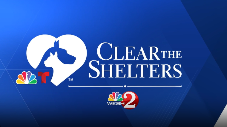 Clear the Shelters | Adoptable pets at Marion County Animal Services