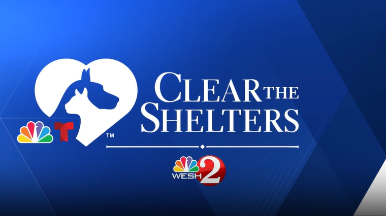 Clear the Shelters | Meet adoptable pets at Osceola County Animal Services