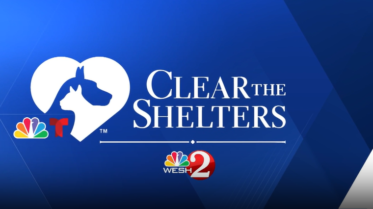 Clear the Shelters: Adoptable pets at Pet Alliance shelters in Sanford and Orlan...