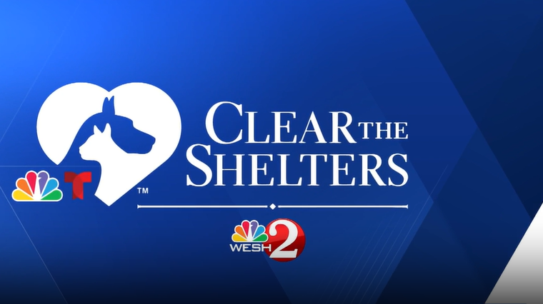 Clear the Shelters | Meet adoptable pets at Lake County Animal Services