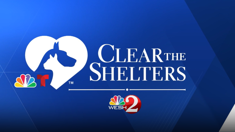 Clear the Shelters | Adoptable pets at the Sumter County Animal Shelter