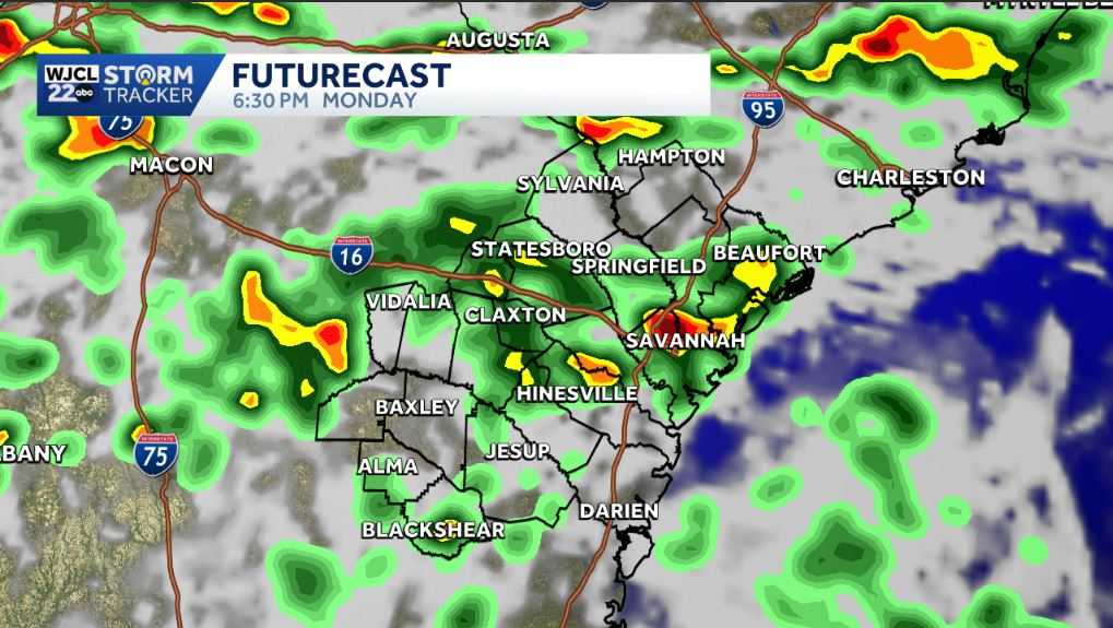 Afternoon storms bring heavy rain and gusty winds to Savannah