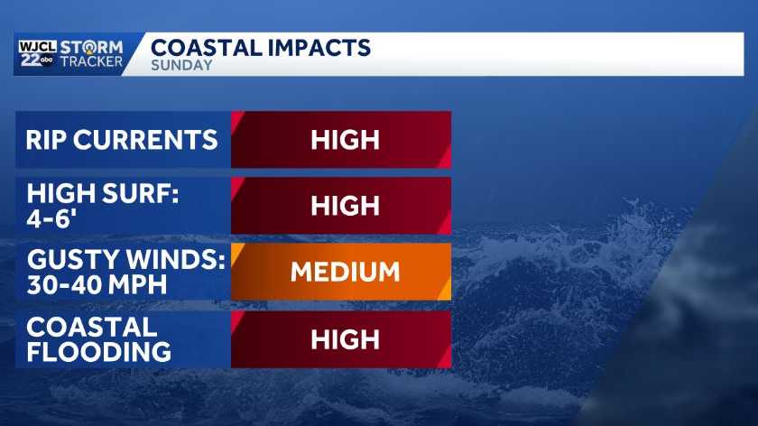 Wrapping up the weekend with windy but mild conditions