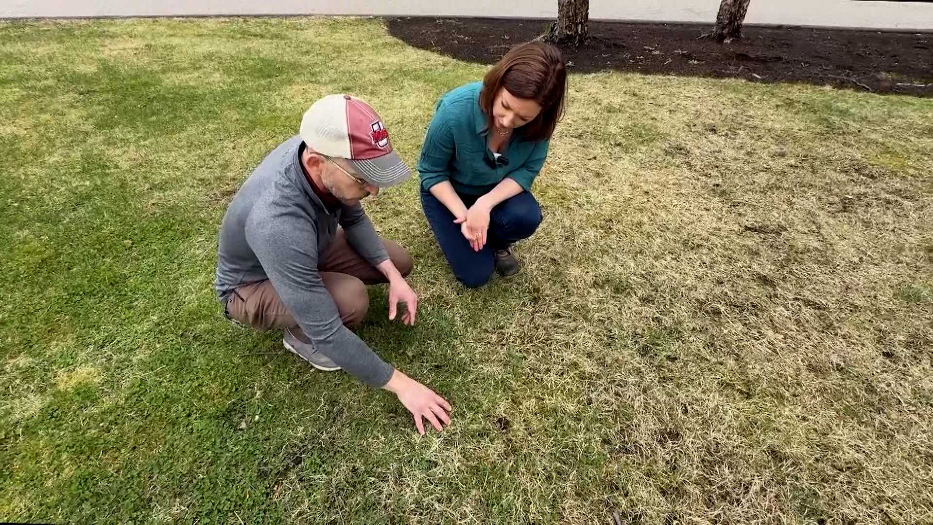 Spring lawn care tips from a guru of grass: Mow high, water deeply