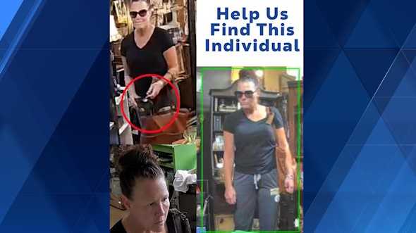 Video appears to show theft at local antique shop; Business seeks public help