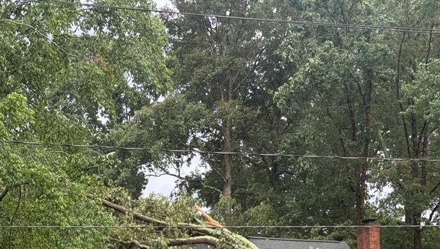 Debris, storm damage reported in the Triad following severe thunderstorms