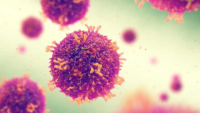 Measles exposure reported at Philadelphia airport during July 4 holiday