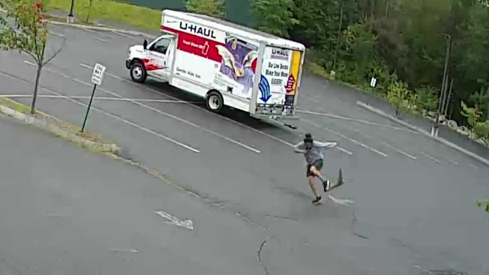 Mystery animal sought after multiple attacks on people