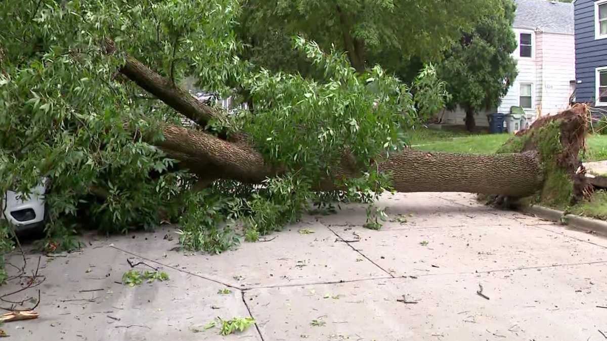 ‘It’s insane’: Storms tear through Milwaukee, crushing cars and damaging homes