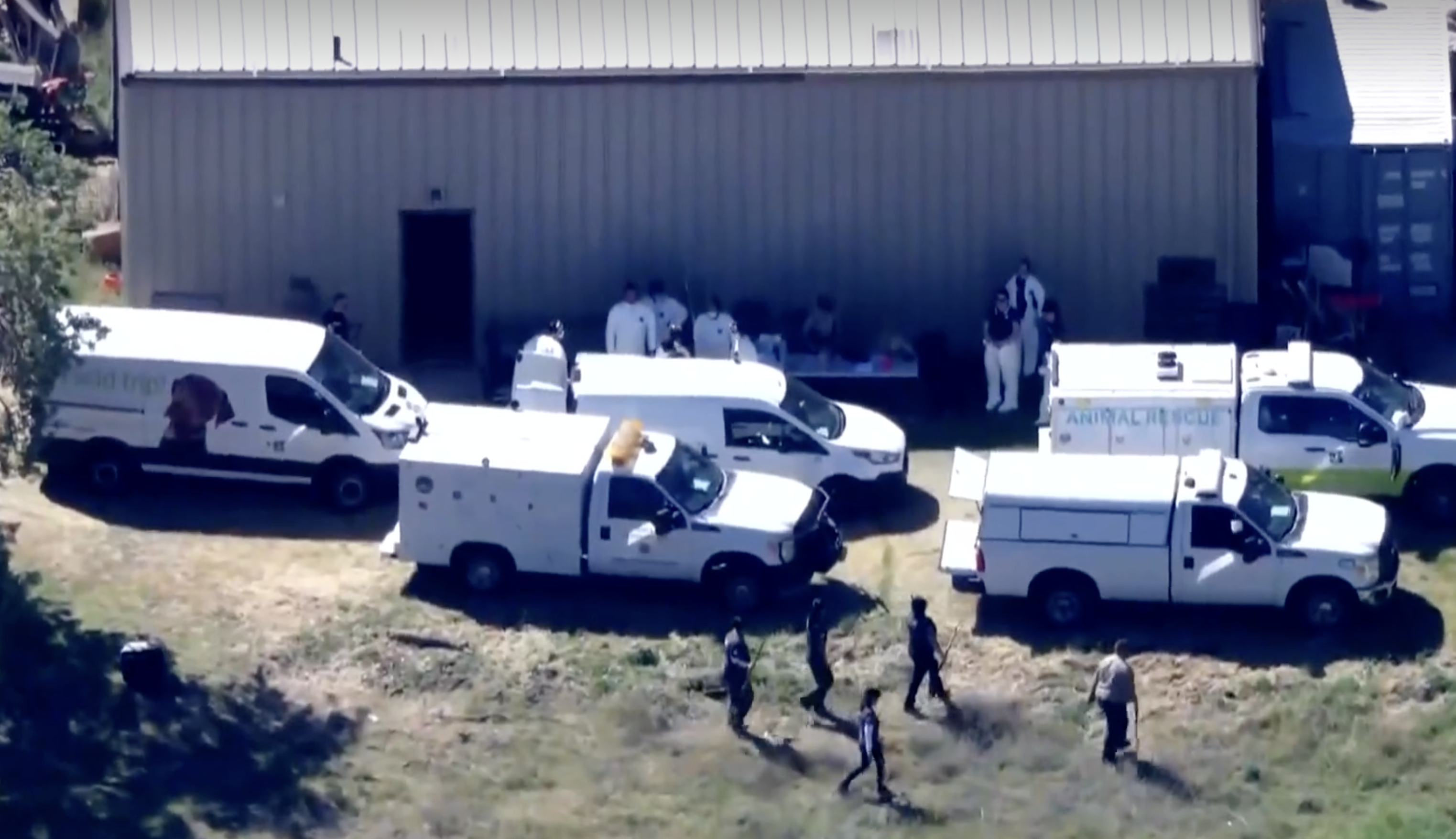 Woman charged, accused of leaving over 300 animals in unsanitary conditions