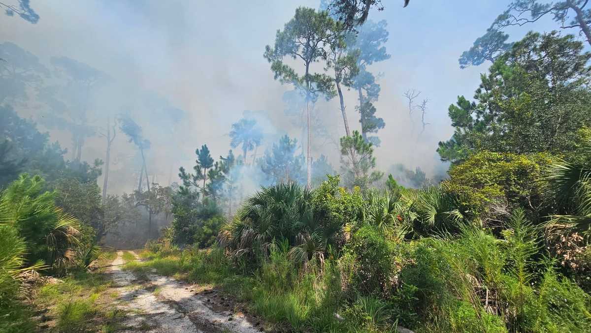 Wassaw Island wildfire could burn for weeks as smoke spreads to Tybee and Hilton Head