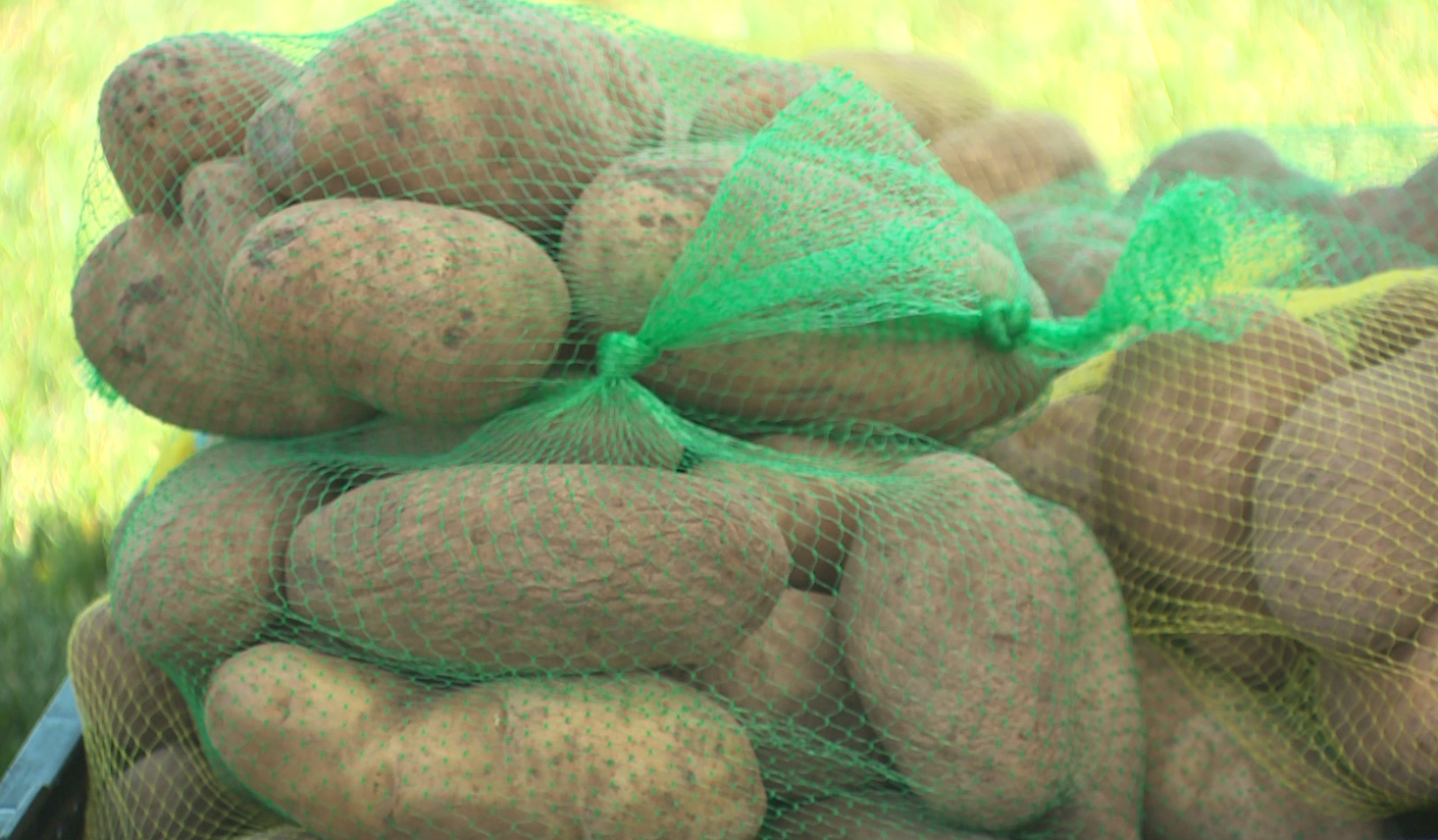 koat.com - Hamilton Kahn - Food Is Medicine Produce Fair' is antidote to food insecurity