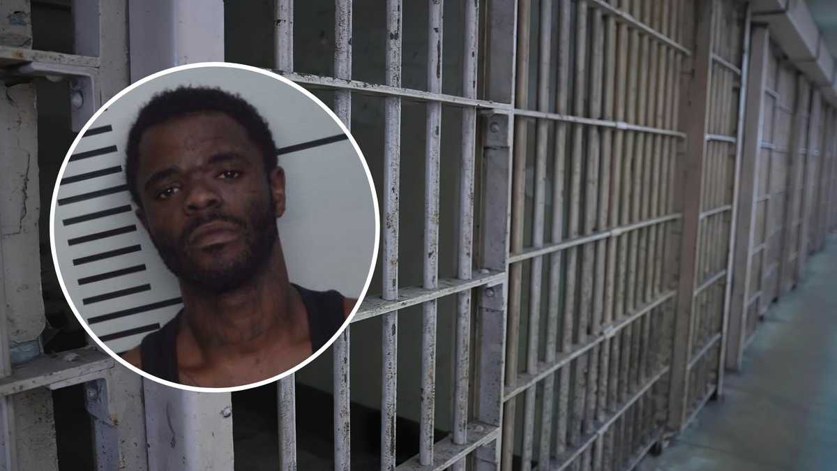 Assault News Image