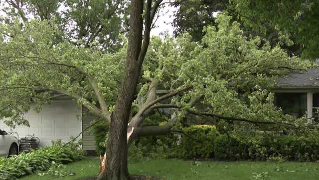 Storm leaves over 100 homes without power in Manheim Township