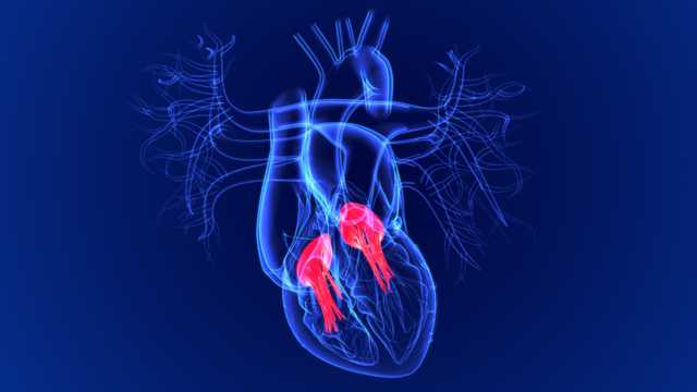 Woman's Doctor: Women can be more prone to types of Mitral Valve Disease