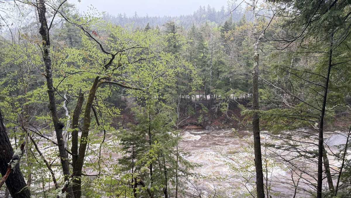 Flooding underway along the Saco River as rain continues to fall