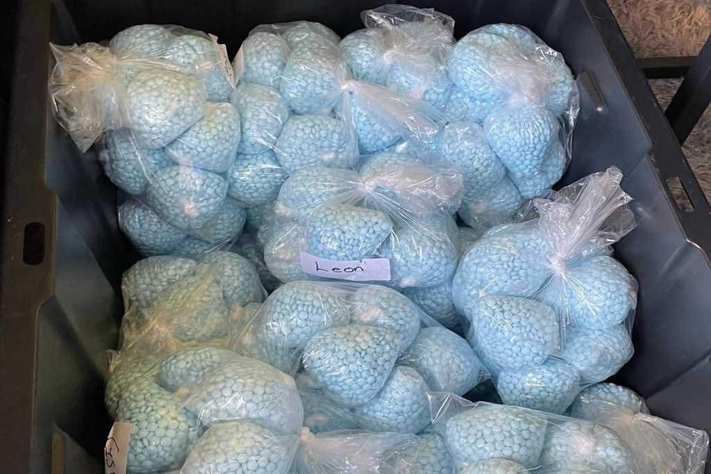 DEA asks watchdog to investigate claims that agents permitted fentanyl to hit the streets