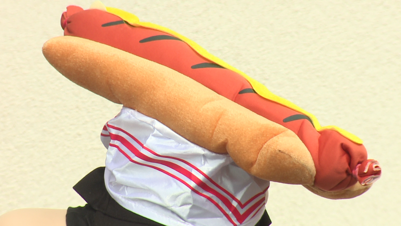 Hot dog competition is a friendly celebration of U.S. 250th