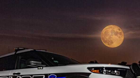 2 charged after second grader reportedly brought gun to Massachusetts school