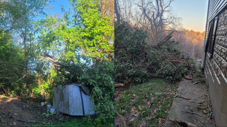 Penn Hills homeowner frustrated by falling trees from school district property