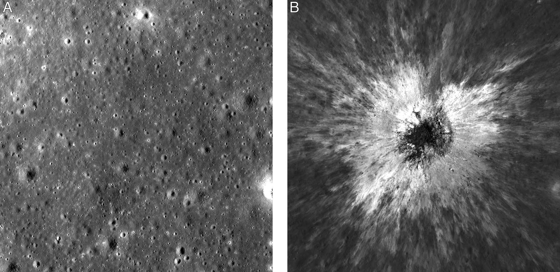 ロッド SMITH Legacy'SC NOBLE MOON 73MLT NASA spacecraft discovers a huge new crater on the moon - WVTM