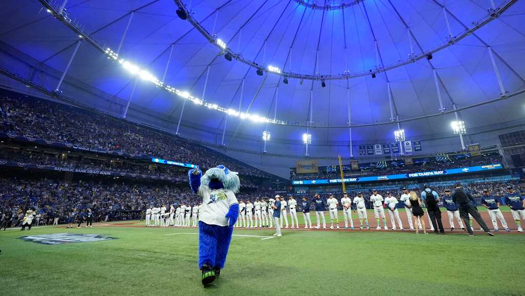 Who is the Tampa Bay Rays' mascot? | World Series