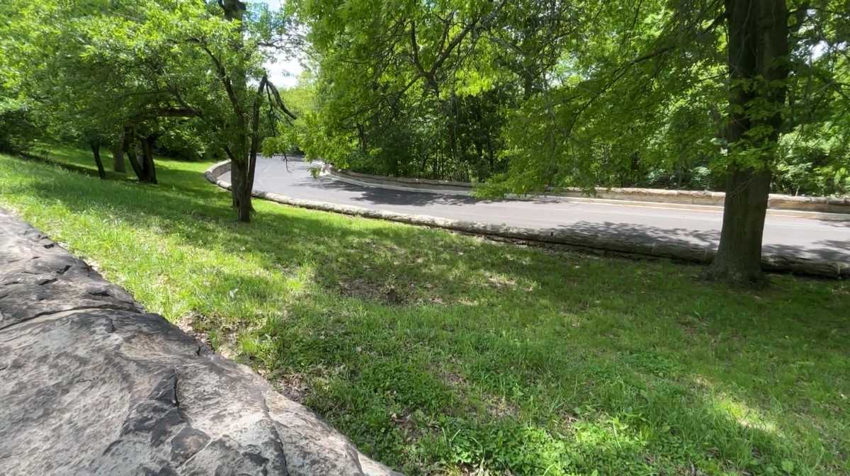 Public hearing requested in effort to reopen ﻿Serpentine Drive in Schenley Park