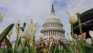 Senators Return To Capitol After Easter Break