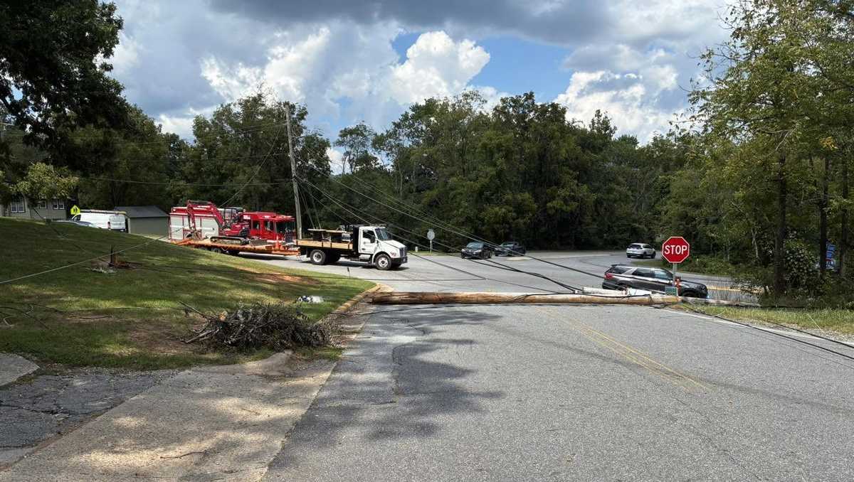 Multiple road closures reported due to downed power lines, officers say