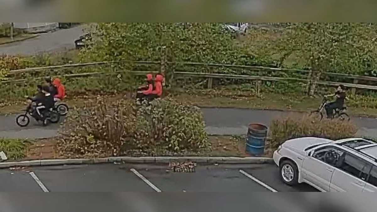 Assault News Image