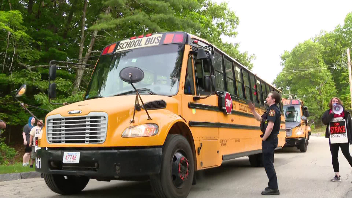 School bus drivers, monitors in Marlborough on strike over pay, benefits