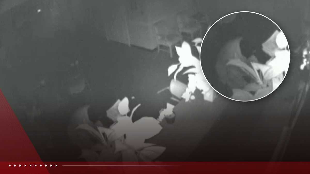 Alabama gubernatorial candidate Ken McFeeters' Bessemer office burglarized