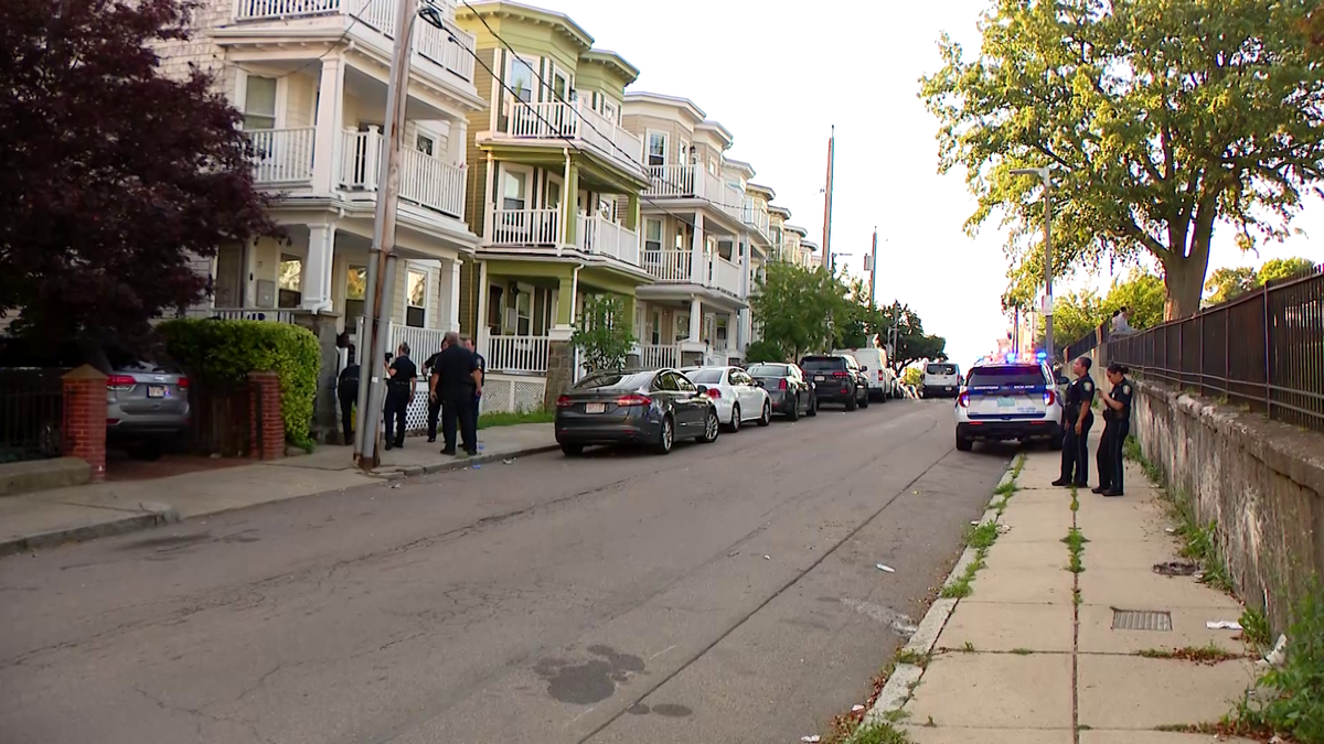 Assault News Image