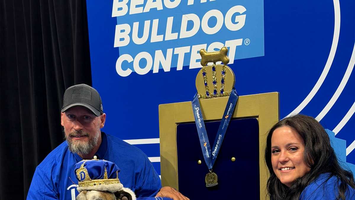 Flora’s Fairytale: Rescue dog from Iowa Falls is crowned this year's Drake Beautiful Bulldog