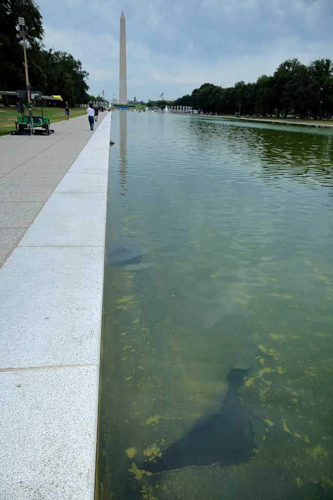 Investigating the Lincoln Memorial Reflecting Pool dispute