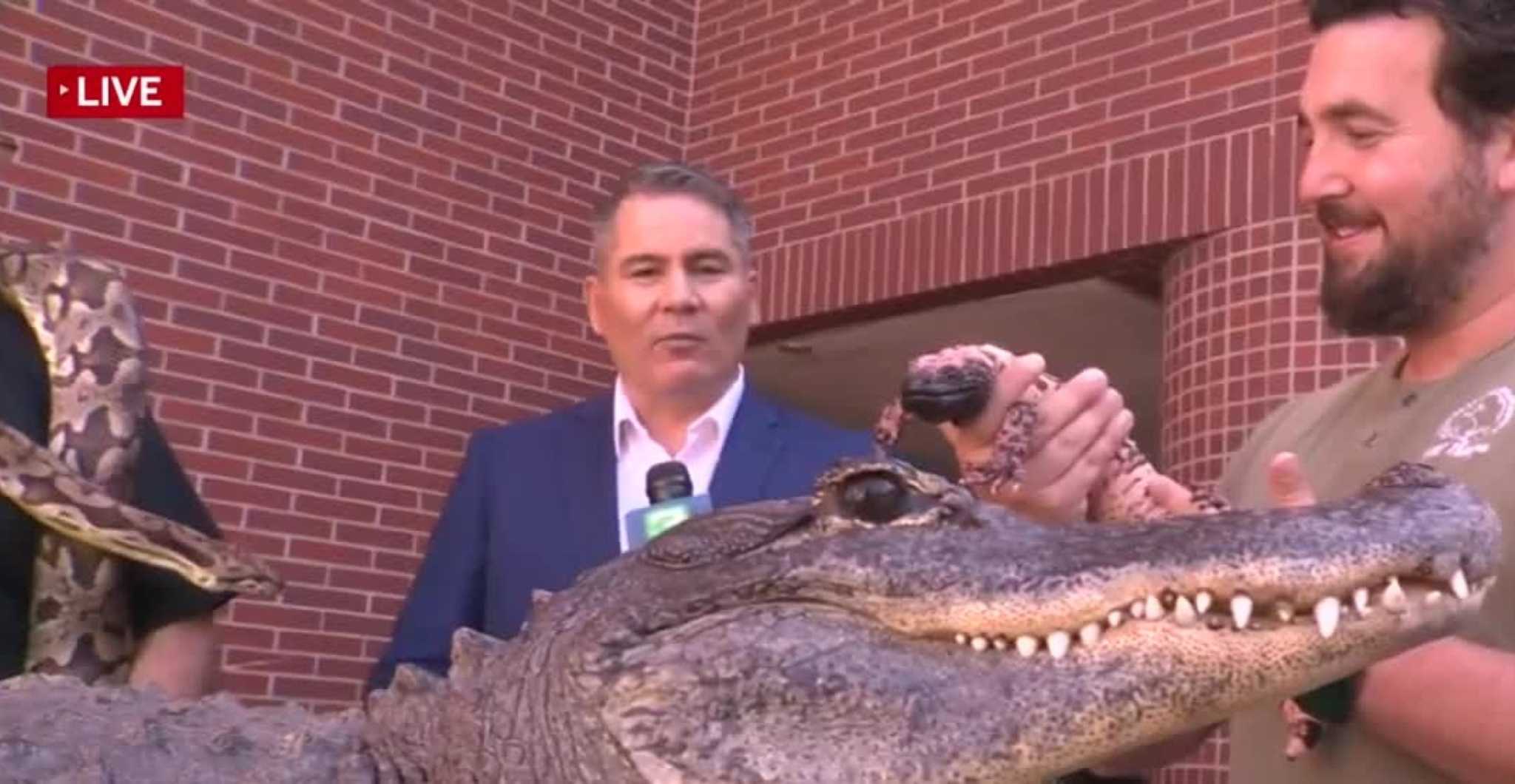 Gators, snakes and lizards: What to know about the 28th annual Sacramento Reptile Expo