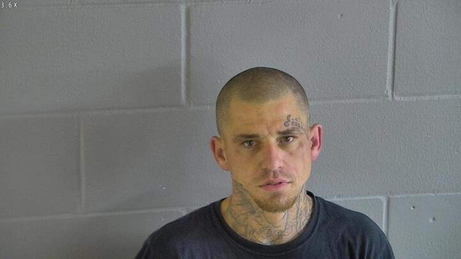 gulfcoastnewsnow.com - James Curtis - Wanted Charlotte County shooting suspect arrested in North Florida