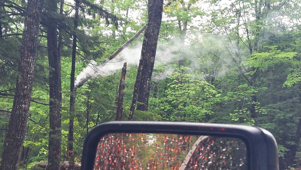 Power outages climb in Maine as strong winds bring trees down onto wires