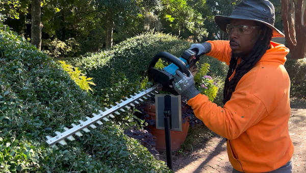 Making waves with garden shears: Topiary artist Michael P. Gibson transforms Savannah museum garden