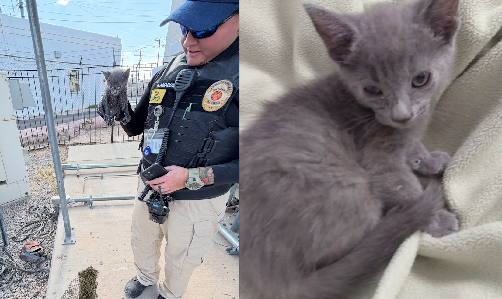 Kitten rescued after being trapped 20 feet down utility pipe in Texas
