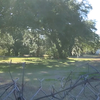 Housing Authority moves to reclaim Savannah property near Weeping Time site