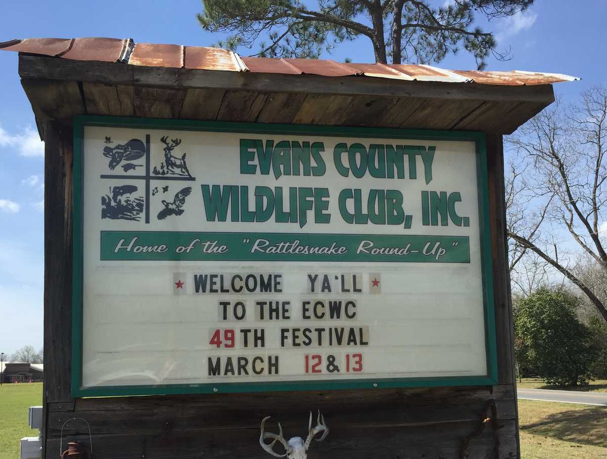 Rattlesnake Festival this weekend